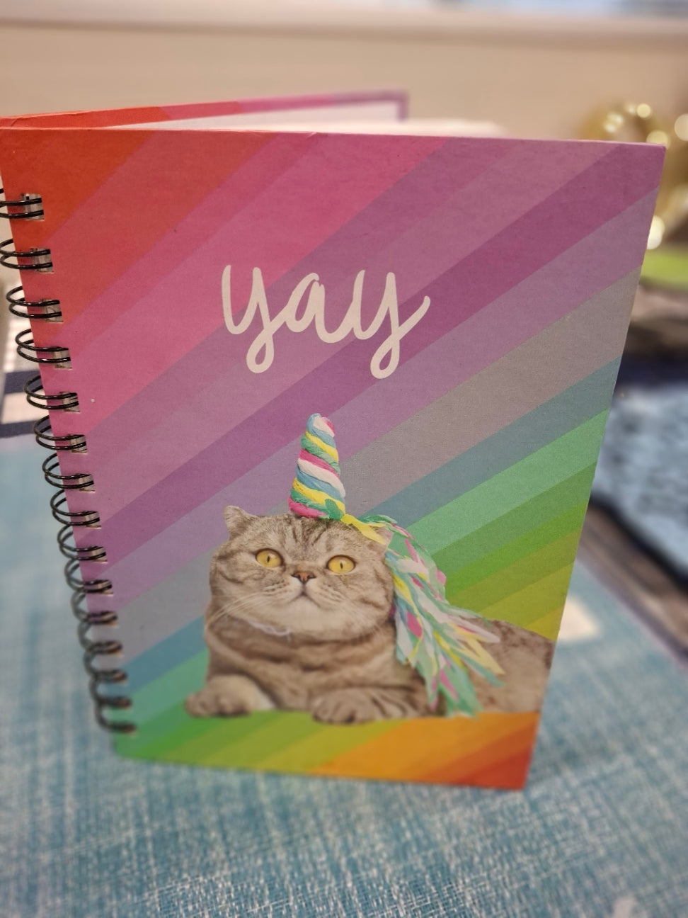 Notebook A4 hard cover spiral - Cat Lovers SET OF TWO